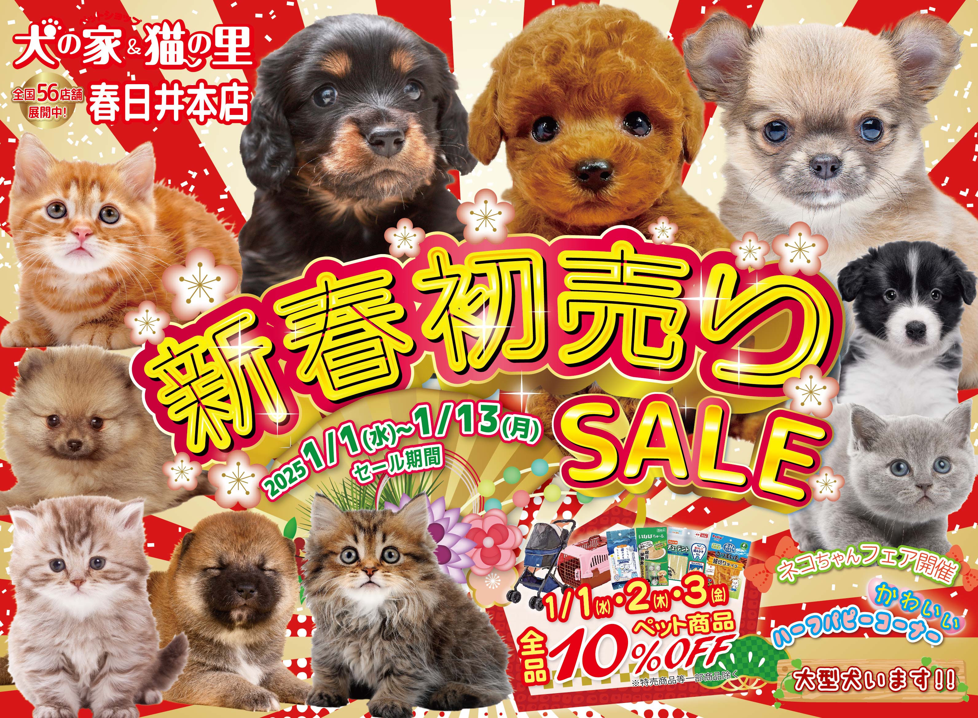 最新セール情報【新春初売りセール 春日井本店】 | ペット